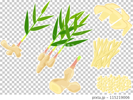 新生姜のイラストセット 115219006