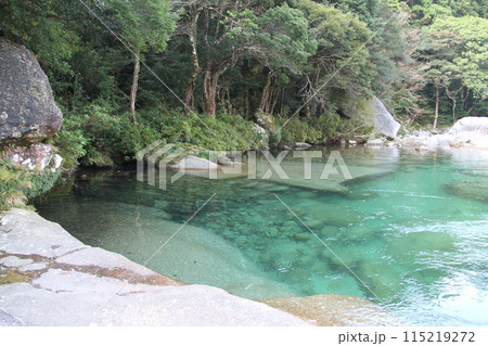 屋久島の永田川上流の澄み切った水 115219272