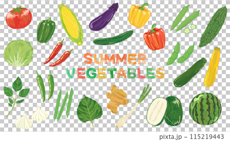 夏野菜 ベクター素材 115219443