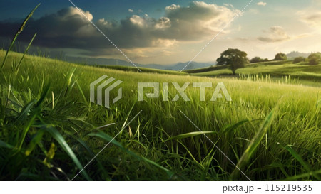夕日に照らされる草原 夕日に照らされる草原 115219535