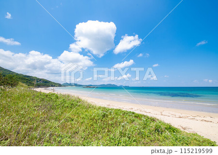 夏の海岸からの景色 115219599