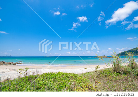 海岸沿いの砂浜から眺める景色 海岸沿いの砂浜から眺める景色 115219612