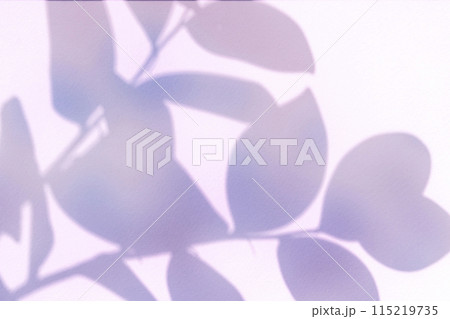 Colorful plant shadows and margins 115219735