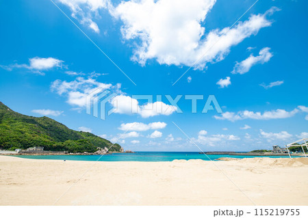 夏の砂浜から眺める青い空の景色 115219755