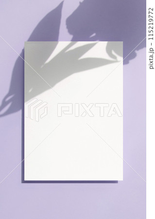 Card mock-up with plant shadow Card mock-up with plant shadow 115219772
