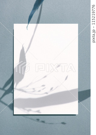 Card mock-up with plant shadow 115219776