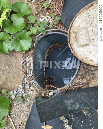 木の根っこで変形した汚水桝 115220000