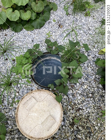 木の根が絡まって詰まった排水管 115220003