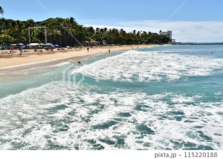 ハワイの休日 ハワイの休日 115220188