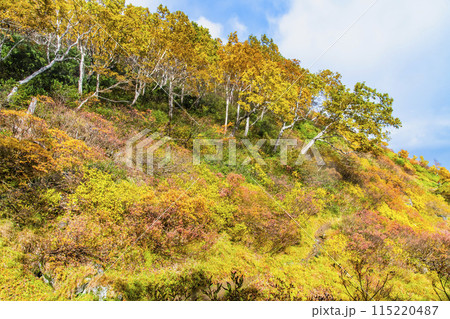 北海道 大雪山赤岳 紅葉に染まる銀泉台 北海道 大雪山赤岳 紅葉に染まる銀泉台 115220487