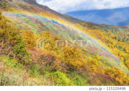 北海道 大雪山赤岳　虹のかかる紅葉に染まる銀泉台 115220496