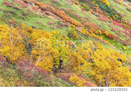 北海道 大雪山赤岳 紅葉に染まる銀泉台 北海道 大雪山赤岳 紅葉に染まる銀泉台 115220501