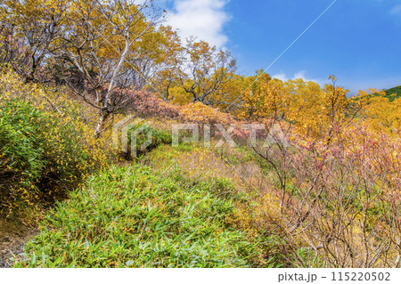 北海道 大雪山赤岳　紅葉に染まる銀泉台 115220502