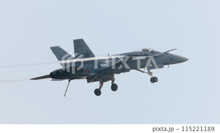 フックダウンするスペイン空軍EF-18Aホーネット戦闘機 フックダウンするスペイン空軍EF-18Aホーネット戦闘機 115221189