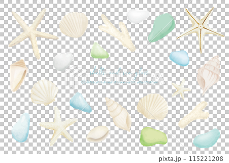 Colorful seagrass and white shells watercolor illustration Colorful seagrass and white shells watercolor illustration 115221208