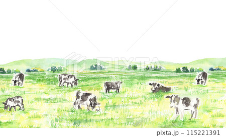 水彩で描いたのどかな牧草地と牛の風景イラスト 115221391