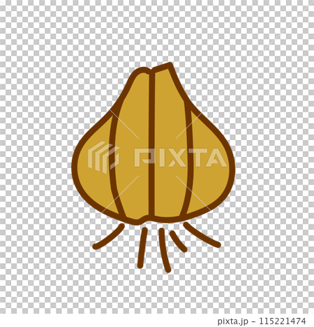 手繪風格青椒插畫 手繪風格青椒插畫 115221474