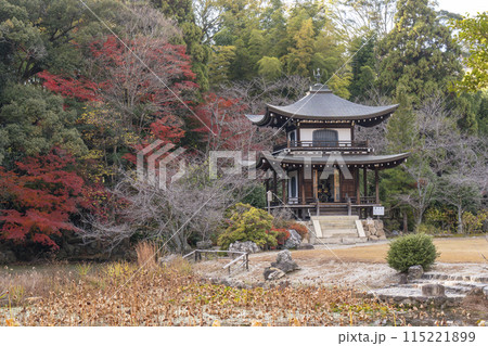 秋の京都 紅葉に包まれた勧修寺 観音堂 秋の京都 紅葉に包まれた勧修寺 観音堂 115221899