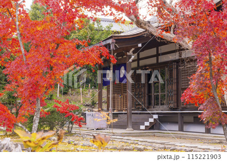 秋の京都　紅葉に包まれた勧修寺　本堂 115221903