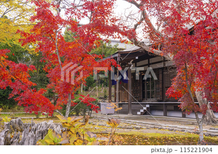秋の京都 紅葉に包まれた勧修寺 本堂 秋の京都 紅葉に包まれた勧修寺 本堂 115221904