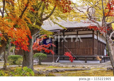 秋の京都　紅葉に包まれた勧修寺　本堂 115221905
