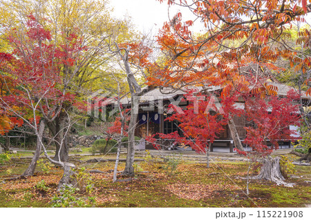 秋の京都 紅葉に包まれた勧修寺 本堂 秋の京都 紅葉に包まれた勧修寺 本堂 115221908