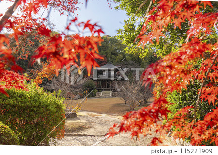 秋の京都 紅葉に包まれた勧修寺 観音堂 秋の京都 紅葉に包まれた勧修寺 観音堂 115221909