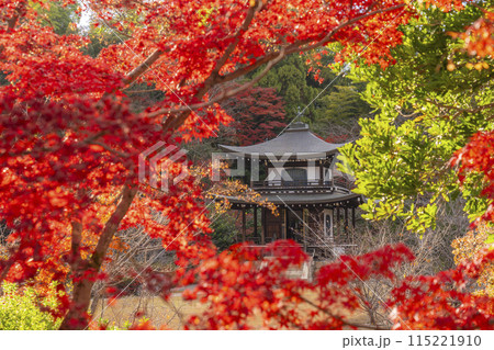 秋の京都 紅葉に包まれた勧修寺 観音堂 秋の京都 紅葉に包まれた勧修寺 観音堂 115221910