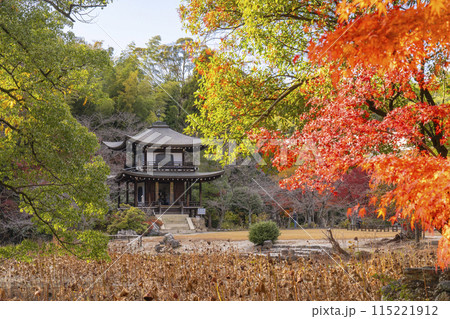 秋の京都　紅葉に包まれた勧修寺　観音堂 115221912
