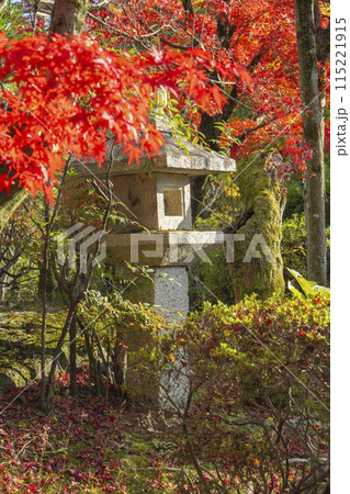 秋の京都 紅葉に包まれた勧修寺 秋の京都 紅葉に包まれた勧修寺 115221915