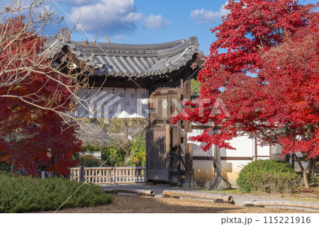秋の京都　紅葉に包まれた勧修寺　中門（勅使門） 115221916