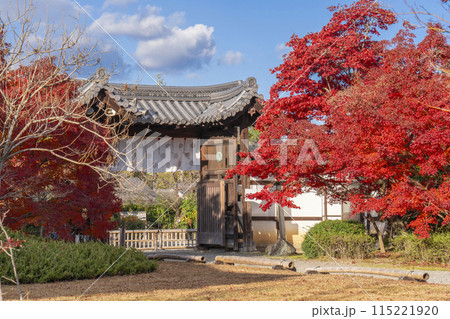 秋の京都　紅葉に包まれた勧修寺　中門（勅使門） 115221920