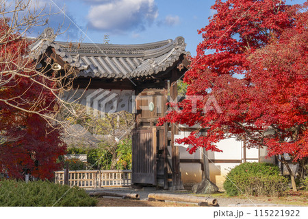 秋の京都　紅葉に包まれた勧修寺　中門（勅使門） 115221922