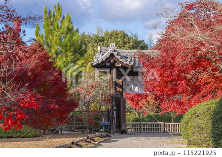 秋の京都 紅葉に包まれた勧修寺 中門(勅使門) 秋の京都 紅葉に包まれた勧修寺 中門(勅使門) 115221925