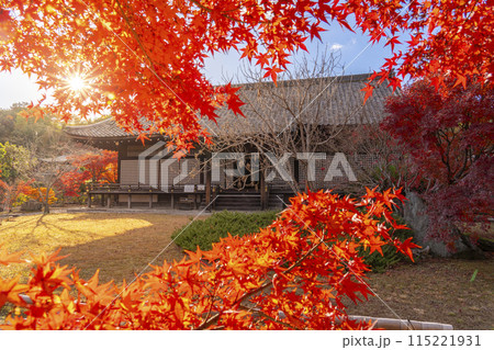 秋の京都　紅葉に包まれた勧修寺　宸殿 115221931