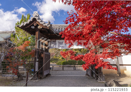 秋の京都　紅葉に包まれた勧修寺　中門（勅使門） 115221933