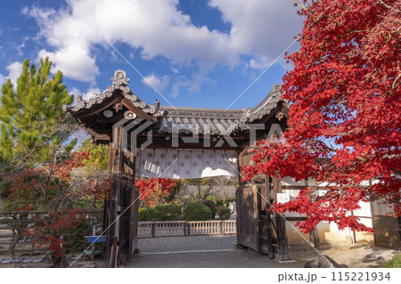 秋の京都　紅葉に包まれた勧修寺　中門（勅使門） 115221934