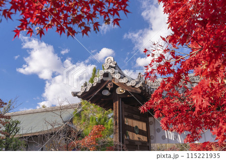 秋の京都　紅葉に包まれた勧修寺　中門（勅使門） 115221935
