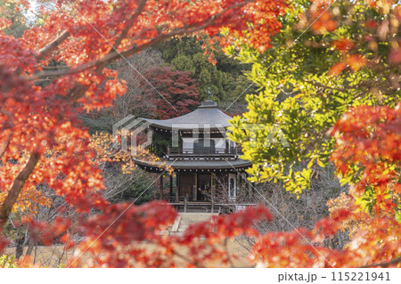 秋の京都　紅葉に包まれた勧修寺　観音堂 115221941
