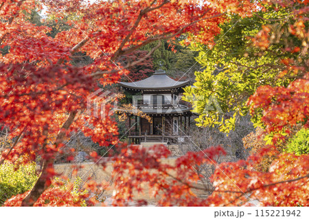 秋の京都 紅葉に包まれた勧修寺 観音堂 秋の京都 紅葉に包まれた勧修寺 観音堂 115221942