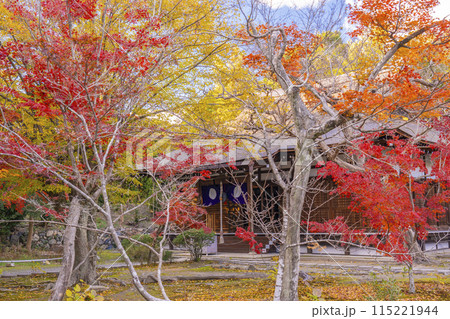 秋の京都　紅葉に包まれた勧修寺　本堂 115221944