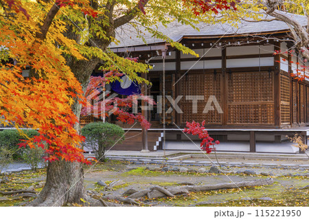 秋の京都　紅葉に包まれた勧修寺　本堂 115221950