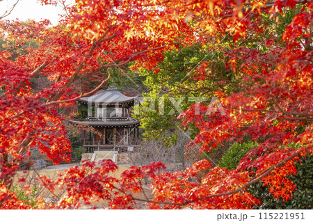 秋の京都　紅葉に包まれた勧修寺　観音堂 115221951