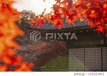 秋の京都 紅葉に包まれた勧修寺 宸殿 秋の京都 紅葉に包まれた勧修寺 宸殿 115221952