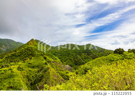 小笠原諸島・母島　小剣先山から望む風景 115222055