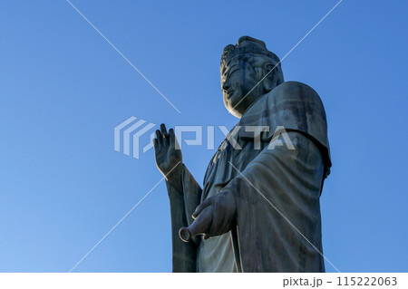 東京都　青梅市　冬　塩船観音寺　 115222063
