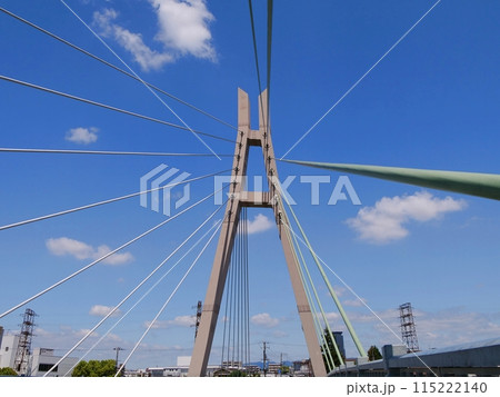 大阪　吹田市　斜張橋の高浜橋（晩秋） 115222140