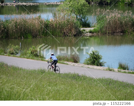 大阪 淀川 ワンド(湾処)を走るサイクリング者(菅原城北大橋付近左岸から)(初夏) 大阪 淀川 ワンド(湾処)を走るサイクリング者(菅原城北大橋付近左岸から)(初夏) 115222166