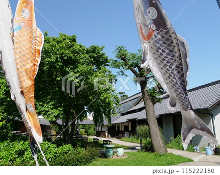 大阪　吹田市　浜屋敷の中庭と鯉のぼり（初夏） 115222180