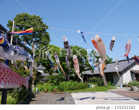 大阪　吹田市　浜屋敷の中庭と鯉のぼり（初夏） 115222182